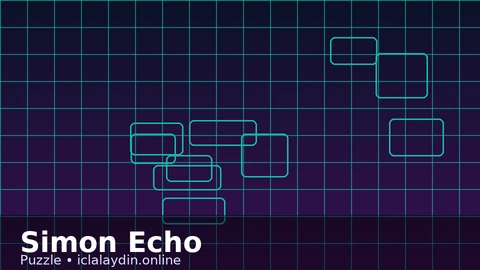 Simon Echo cover